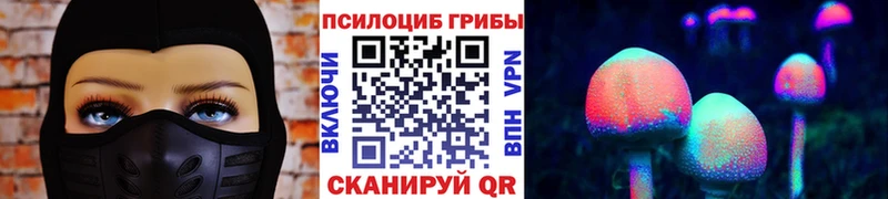 Галлюциногенные грибы Magic Shrooms  купить закладку  Островной 